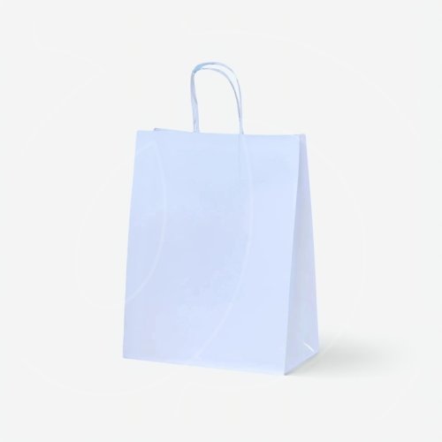 Пакет с ручками Белый 22х12х25 см 